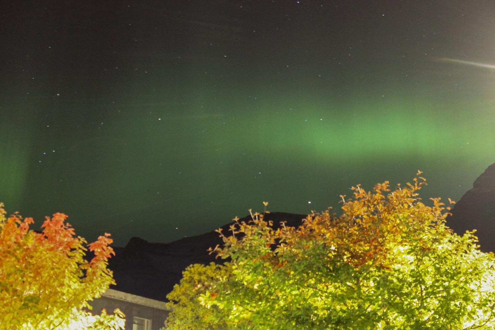 Hotel Austur Reydarfjordur المظهر الخارجي الصورة